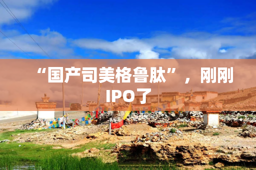 “国产司美格鲁肽”，刚刚IPO了