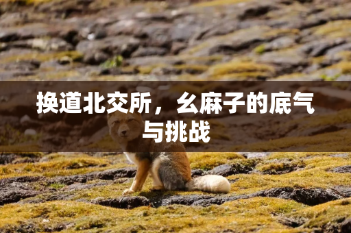 换道北交所，幺麻子的底气与挑战