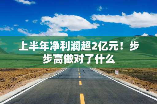 上半年净利润超2亿元！步步高做对了什么