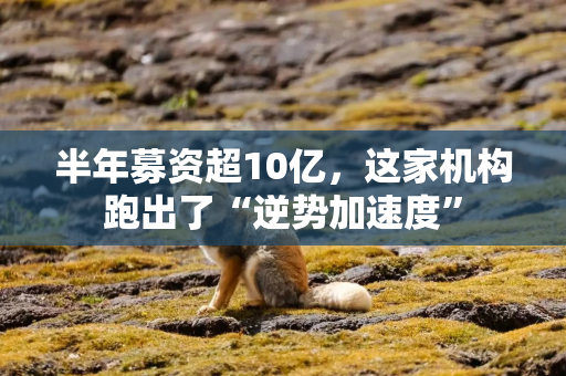 半年募资超10亿，这家机构跑出了“逆势加速度”