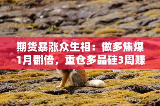 期货暴涨众生相：做多焦煤1月翻倍，重仓多晶硅3周赚2.8亿，期货短剧顺势登场