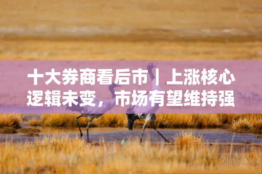 十大券商看后市｜上涨核心逻辑未变，市场有望维持强势表现