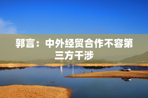 郭言：中外经贸合作不容第三方干涉