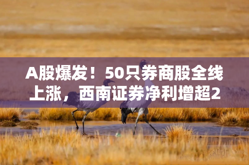 A股爆发！50只券商股全线上涨，西南证券净利增超2成，4家券商分红34亿
