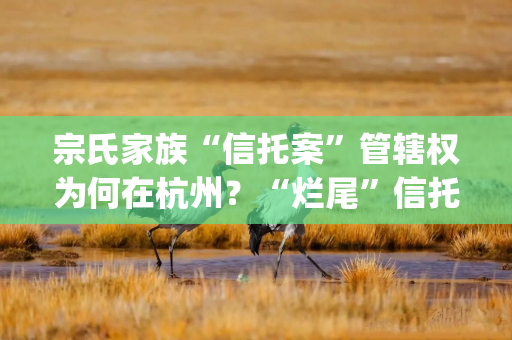 宗氏家族“信托案”管辖权为何在杭州？“烂尾”信托认定面临几大挑战？| 局外人