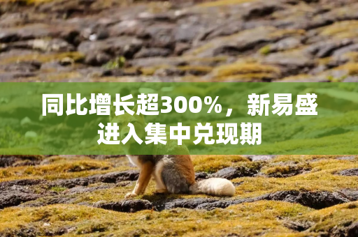 同比增长超300%，新易盛进入集中兑现期