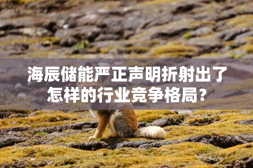 海辰储能严正声明折射出了怎样的行业竞争格局？