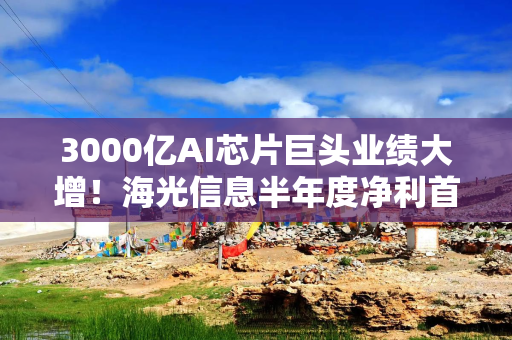 3000亿AI芯片巨头业绩大增！海光信息半年度净利首次突破10亿元，增幅超40%