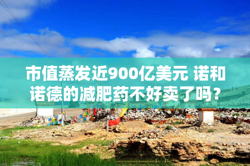 市值蒸发近900亿美元 诺和诺德的减肥药不好卖了吗？