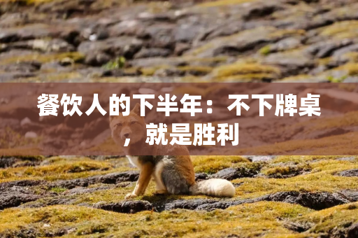 餐饮人的下半年：不下牌桌，就是胜利