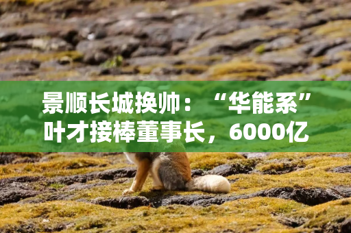 景顺长城换帅：“华能系”叶才接棒董事长，6000亿公募迎第七任掌舵人