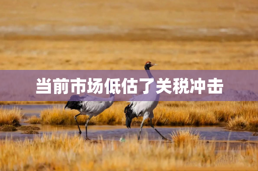 当前市场低估了关税冲击