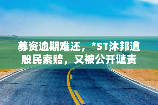 募资逾期难还，*ST沐邦遭股民索赔，又被公开谴责