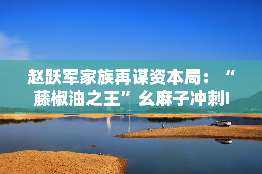 赵跃军家族再谋资本局：“藤椒油之王”幺麻子冲刺IPO，2024年净赚1.5亿元
