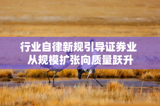行业自律新规引导证券业 从规模扩张向质量跃升