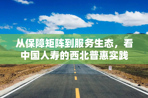 从保障矩阵到服务生态，看中国人寿的西北普惠实践