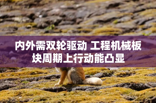 内外需双轮驱动 工程机械板块周期上行动能凸显