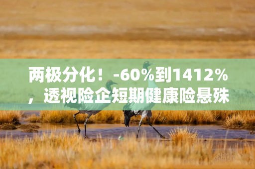 两极分化！-60%到1412%，透视险企短期健康险悬殊赔付率