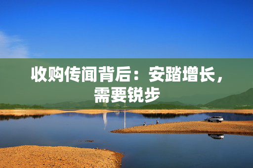 收购传闻背后：安踏增长，需要锐步
