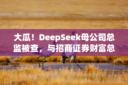 大瓜！DeepSeek母公司总监被查，与招商证券财富总套取上亿佣金