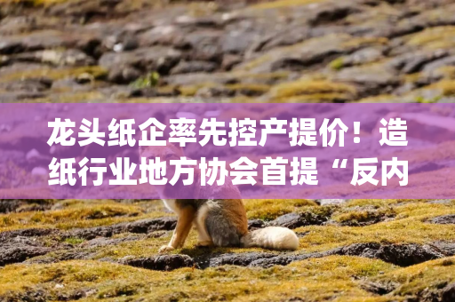 龙头纸企率先控产提价！造纸行业地方协会首提“反内卷” 如何落实成焦点| “反内卷”进行时