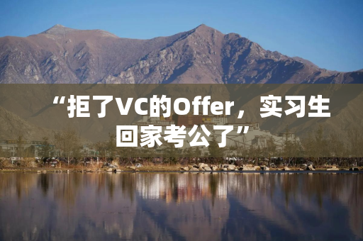 “拒了VC的Offer，实习生回家考公了”