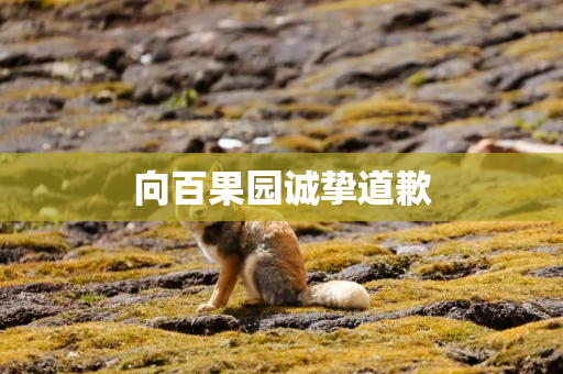 向百果园诚挚道歉