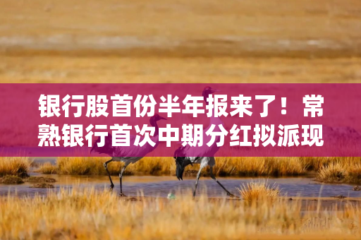 银行股首份半年报来了！常熟银行首次中期分红拟派现近5亿，社保基金重仓