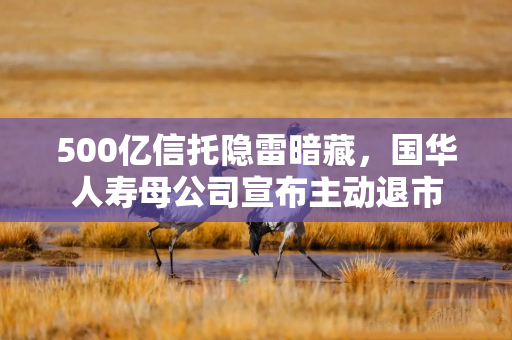 500亿信托隐雷暗藏，国华人寿母公司宣布主动退市