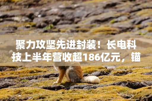 聚力攻坚先进封装！长电科技上半年营收超186亿元，锚定高附加值市场