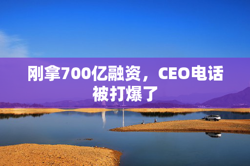 刚拿700亿融资，CEO电话被打爆了