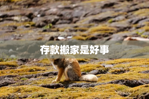 存款搬家是好事