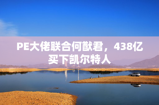 PE大佬联合何猷君，438亿买下凯尔特人