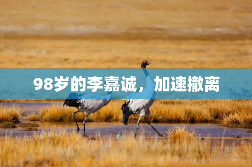 98岁的李嘉诚，加速撤离