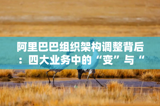 阿里巴巴组织架构调整背后：四大业务中的“变”与“不变”