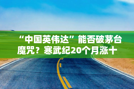 “中国英伟达”能否破茅台魔咒？寒武纪20个月涨十倍逼近“股王”