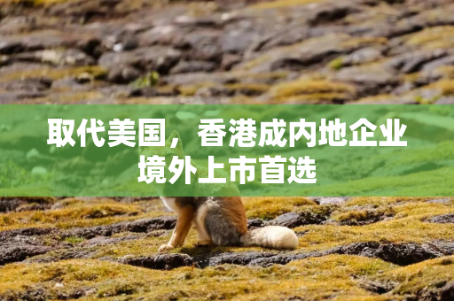 取代美国，香港成内地企业境外上市首选