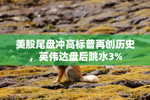 美股尾盘冲高标普再创历史，英伟达盘后跳水3%