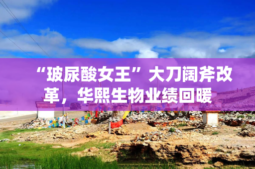 “玻尿酸女王”大刀阔斧改革，华熙生物业绩回暖