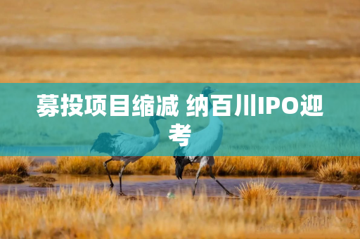 募投项目缩减 纳百川IPO迎考