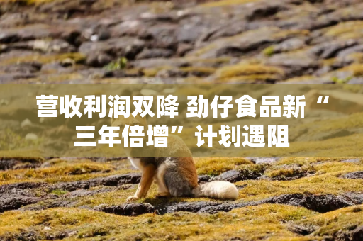 营收利润双降 劲仔食品新“三年倍增”计划遇阻