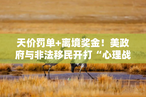 天价罚单+离境奖金！美政府与非法移民开打“心理战”