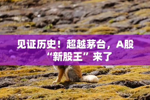 见证历史！超越茅台，A股“新股王”来了