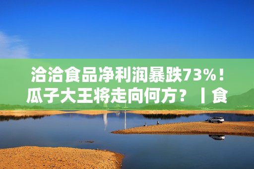 洽洽食品净利润暴跌73%！瓜子大王将走向何方？丨食饮财报观察
