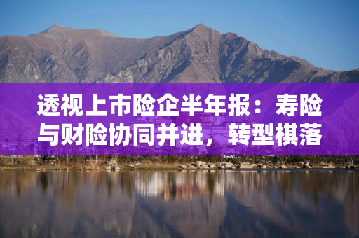 透视上市险企半年报：寿险与财险协同并进，转型棋落中盘