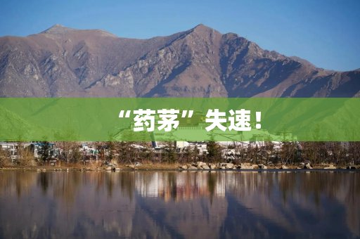 “药茅”失速！