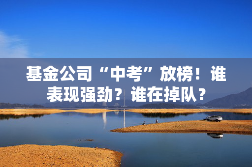 基金公司“中考”放榜！谁表现强劲？谁在掉队？
