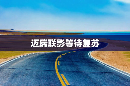 迈瑞联影等待复苏