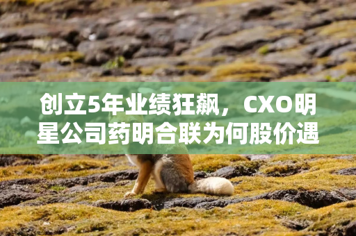 创立5年业绩狂飙，CXO明星公司药明合联为何股价遇冷？
