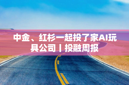 中金、红杉一起投了家AI玩具公司丨投融周报